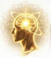 Intuition