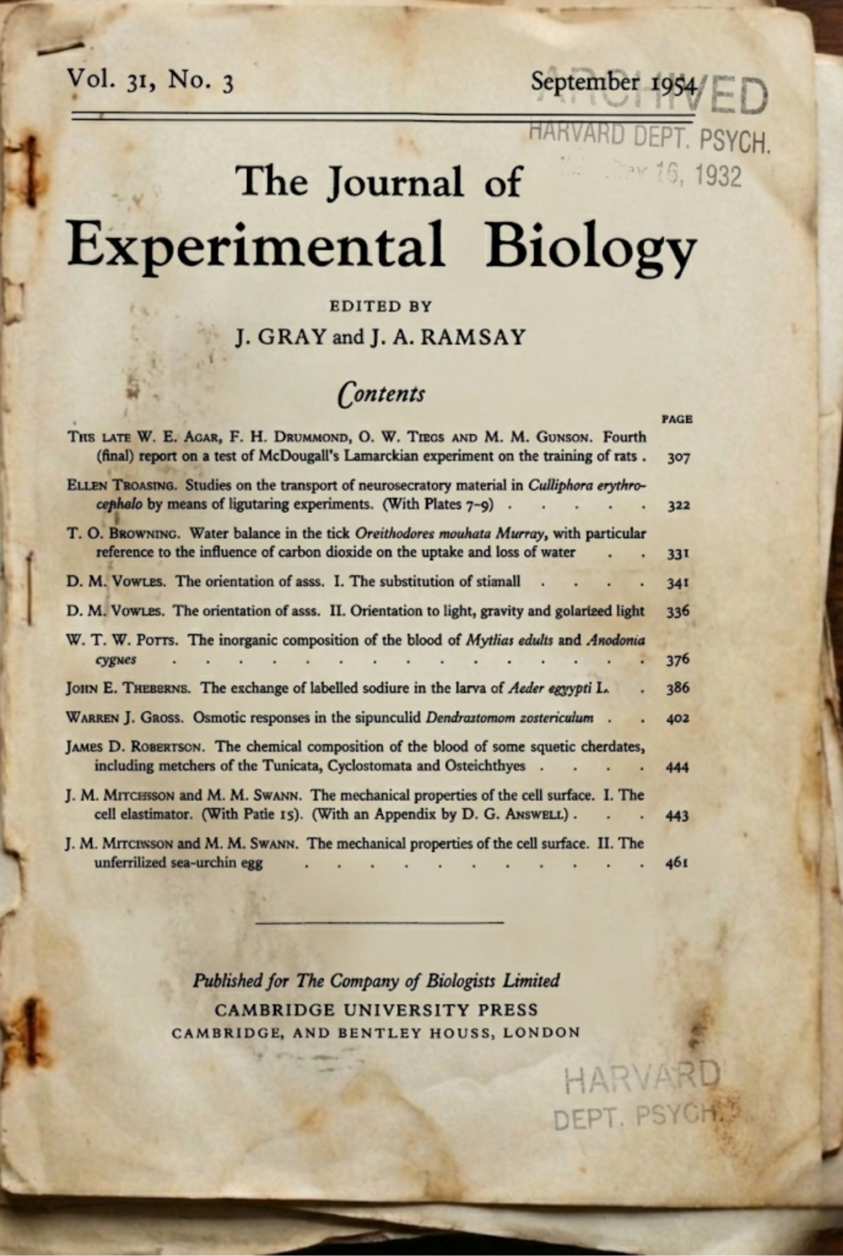 Academic Paper