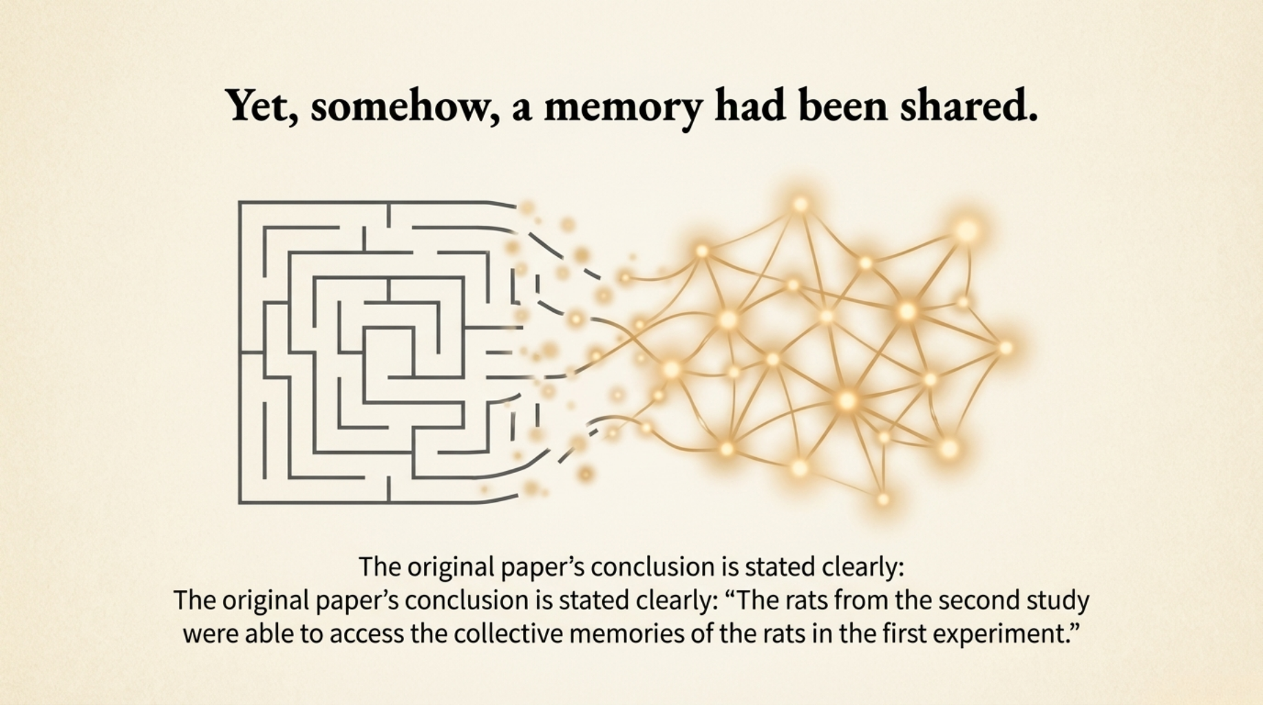 Maze connection